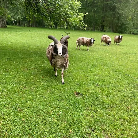 Jurta Na Farme * Karlovy Vary