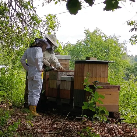 Jurta Na Farme Tente de luxe Karlovy Vary