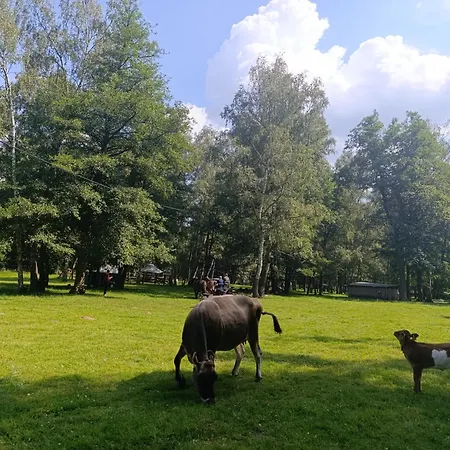 Tente de luxe Jurta Na Farme